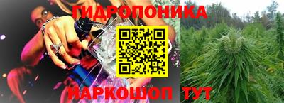 СК Гусев