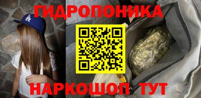 Альфа ПВП Гусиноозёрск